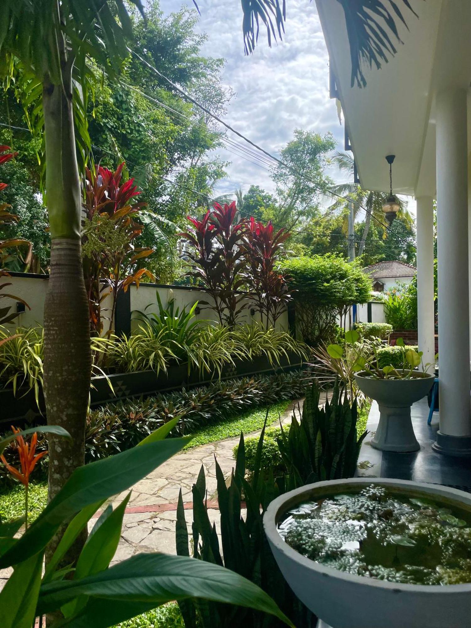 Habibi Hostel & Restaurant Unawatuna Exteriér fotografie